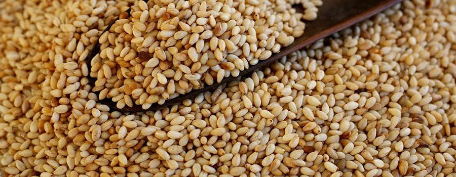 Sesame Seeds
