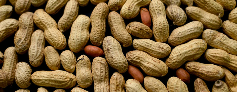 Peanuts