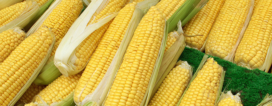 Corn