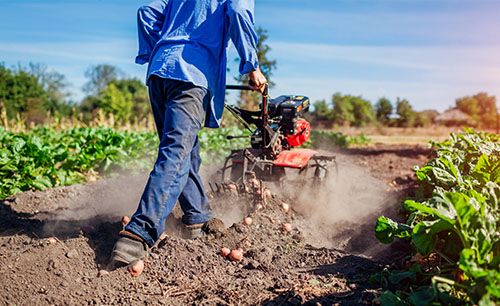 Agriculture & Farming